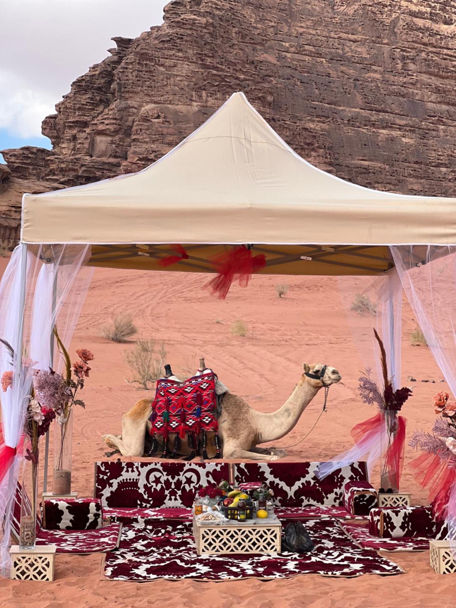 Wadi Rum Rose Luxury Camp Екстер'єр фото